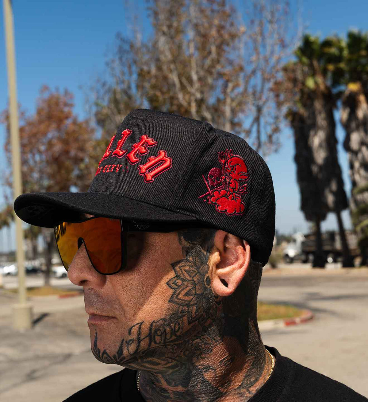 Detail Devil's Snapback