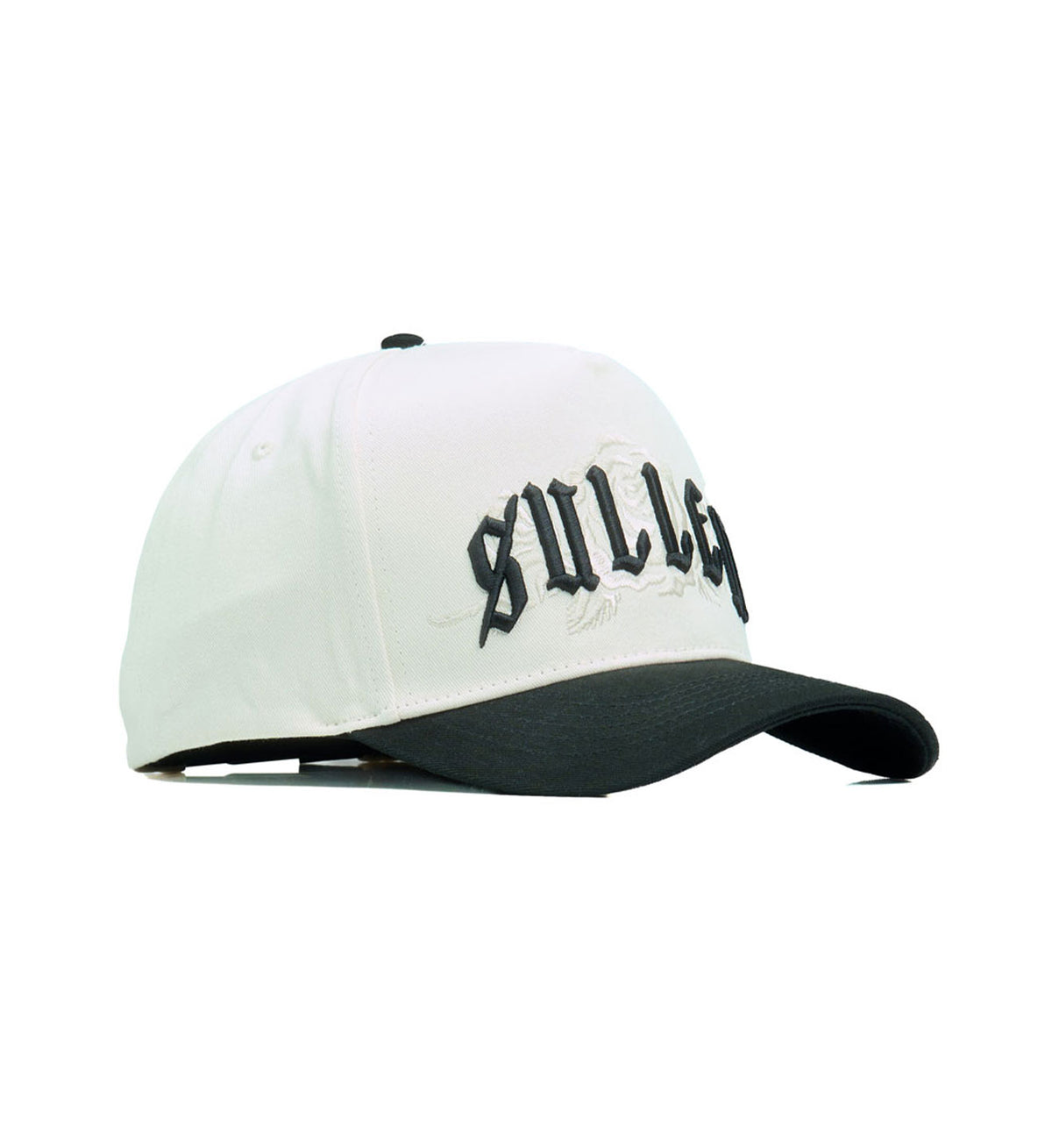 Pleasures Snapback