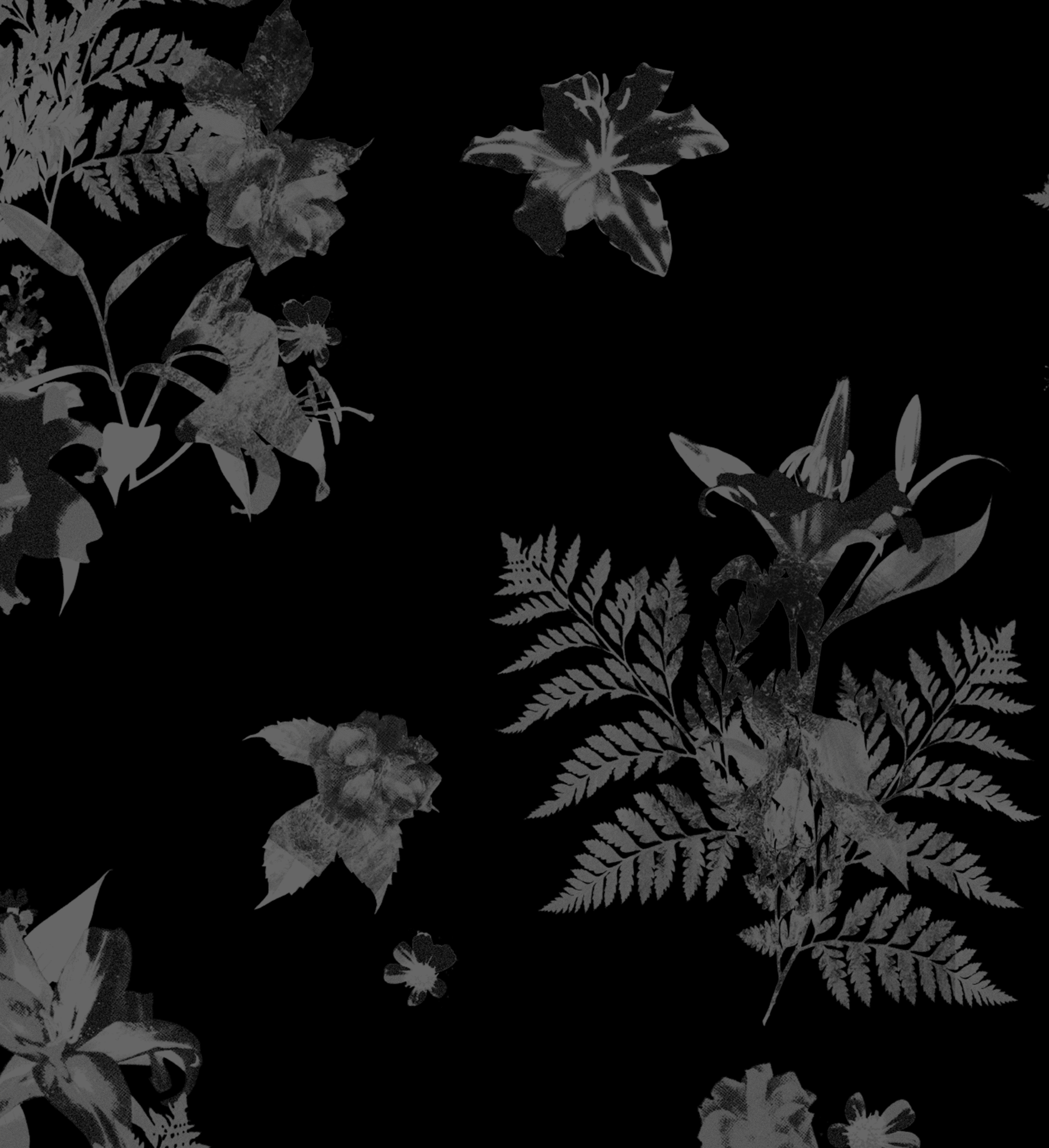 Black and white floral pattern w/ skull ghosted in, on a black background