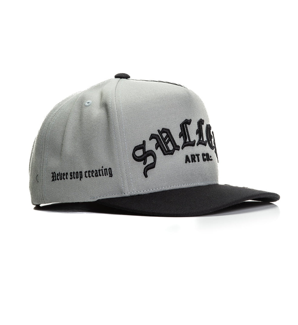 Gray cap with black brim and branding on a white background